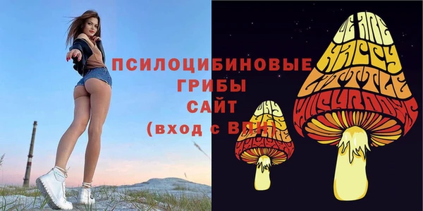 COCAINE Абаза